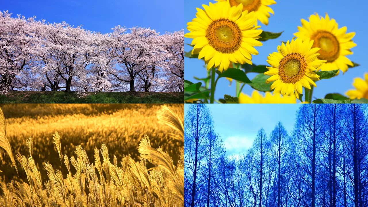 tai-sao-nuoc-bien-man-exploring-nguyen-nhan-dang-sau-su-man-cua-dai-duong-27